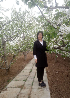 1495185480957069.png 1495185480957069.png